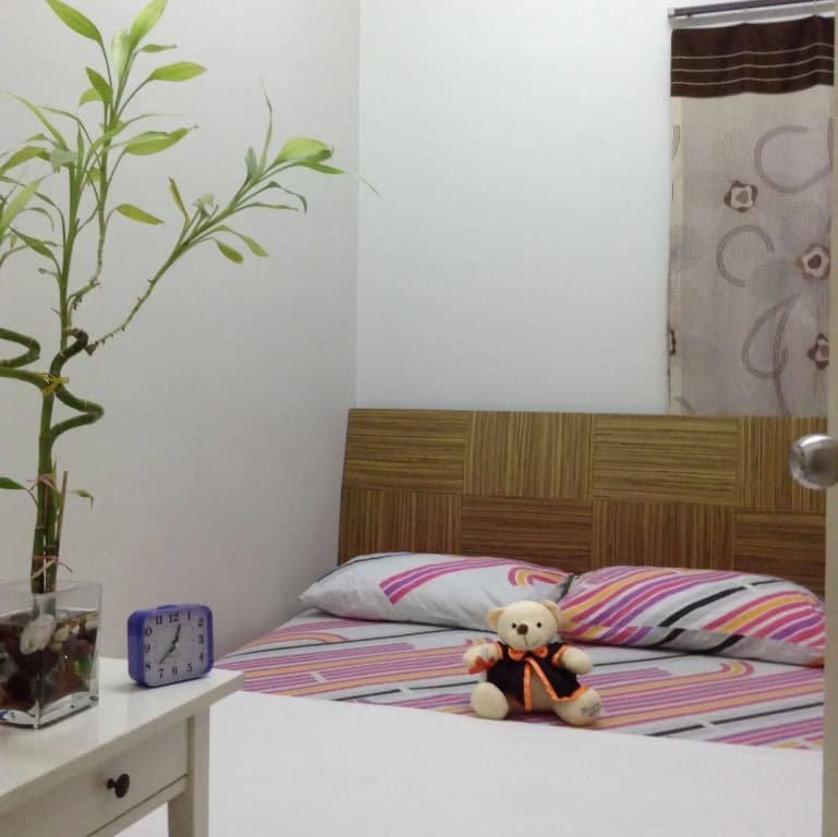 A&F Tropics Homestay - photo 1