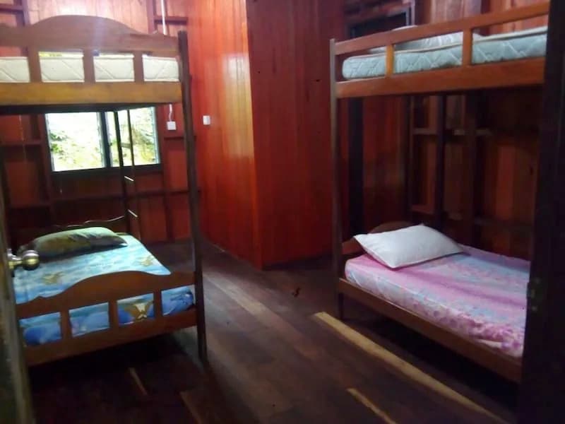 Bukit Belanda Jungle Lodge - photo 2