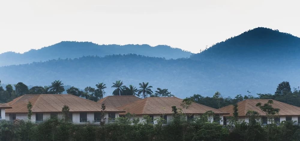 Monkeys Canopy Resort - photo 8
