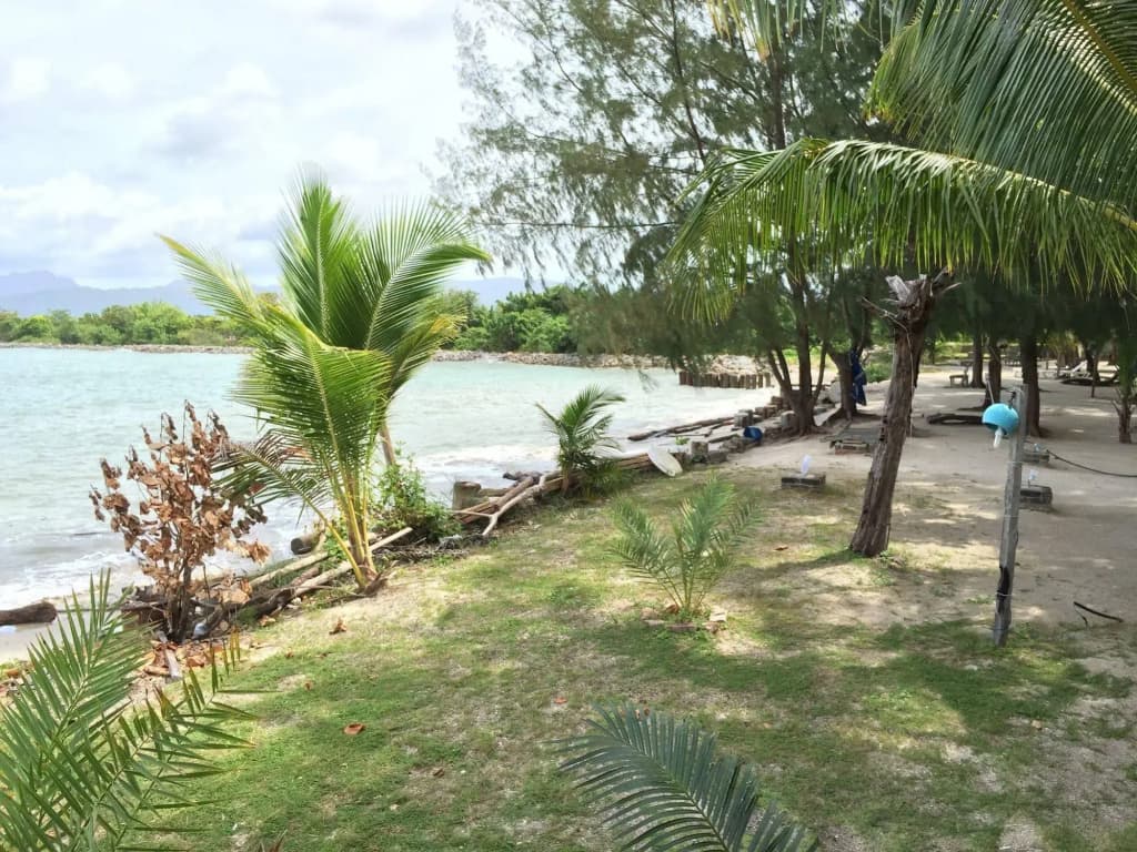 Senari Bay Resort - photo 11