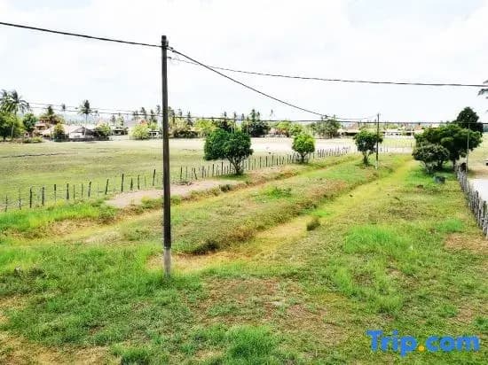 Haji Hassan Guest House - photo 6
