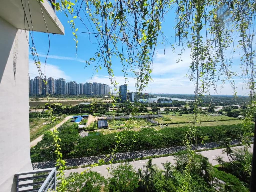 Forest Ants Homestay in Forest City 森林城市-森林蚂蚁民宿 - photo 6