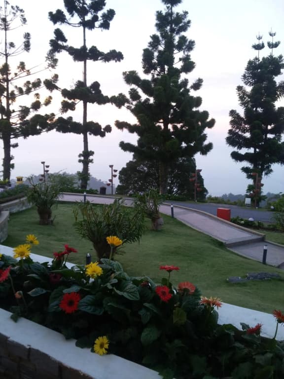 The Jerai Hill Resort - photo 47