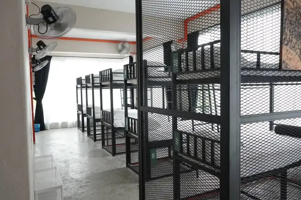 DWJ Backpacker Hostel - photo 14