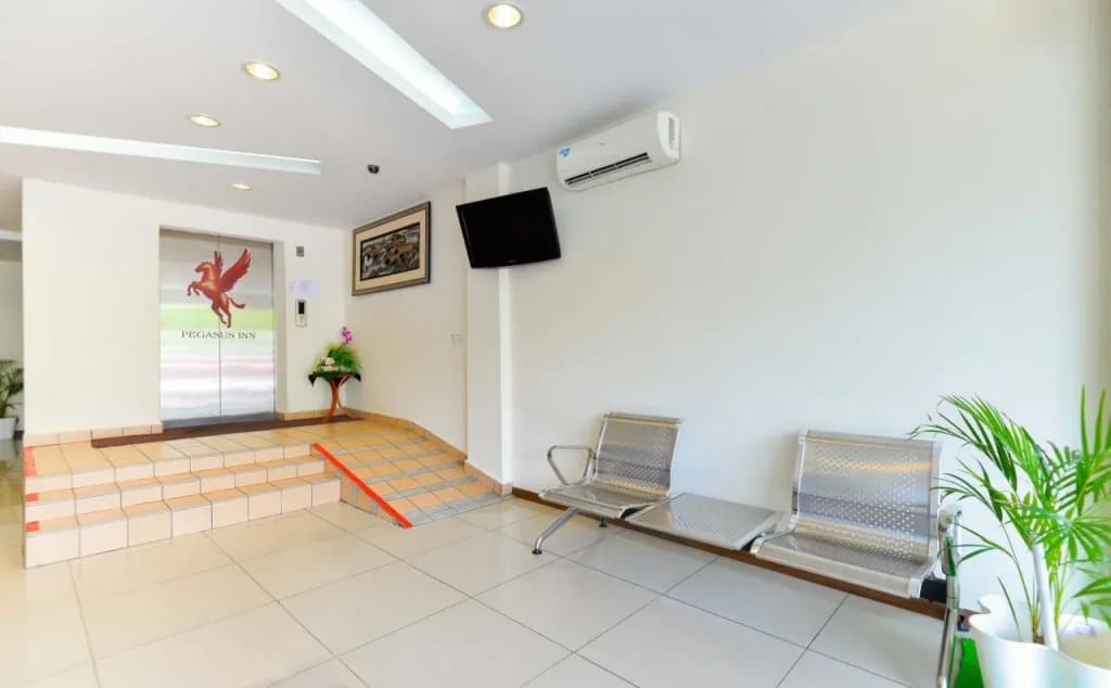 Pegasus Inn Hotel - photo 8