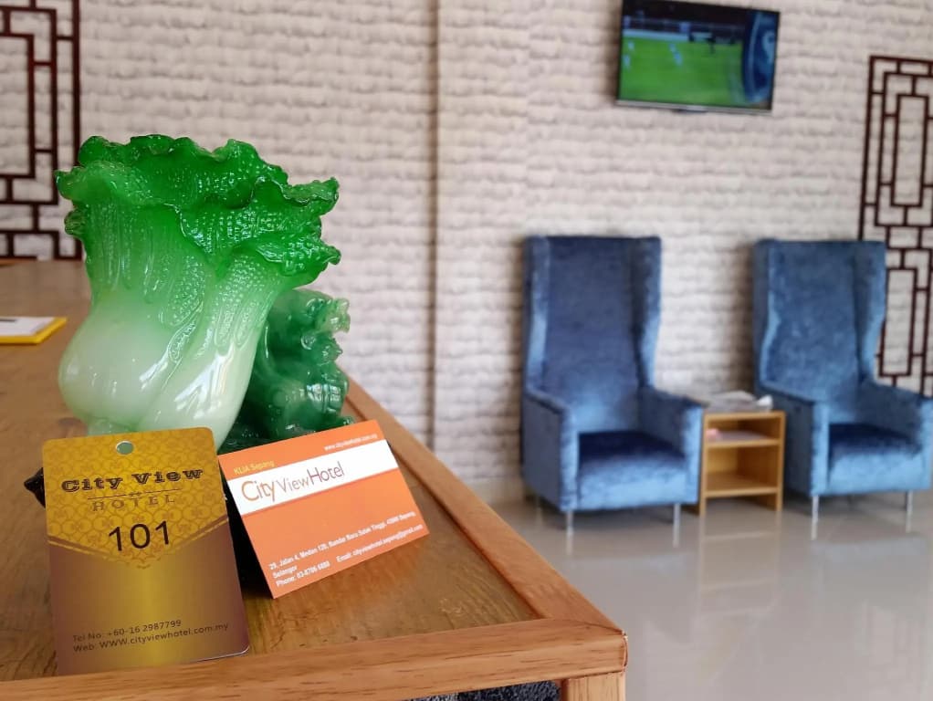 City View Hotel KLIA - photo 21