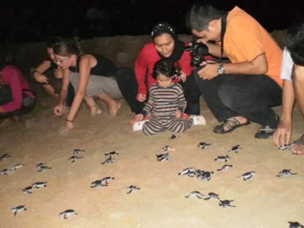 Kemaman Sands - photo 14