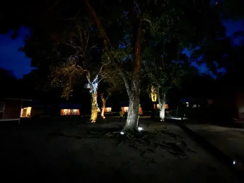 The Garden Tioman Resort - photo 7