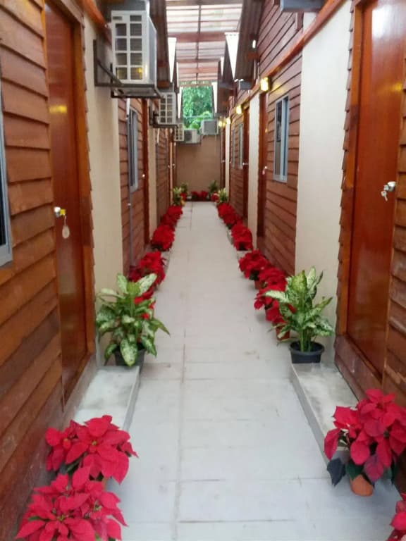 Funky Huts Guest House - photo 11