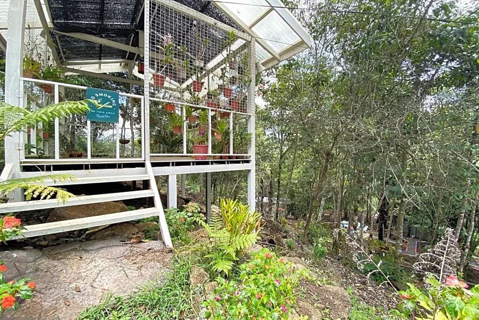 SPOT ON 90279 Kinomulok Garden - photo 10
