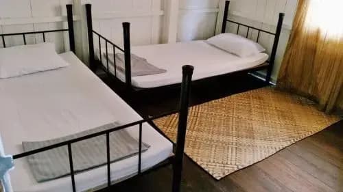 Rareheart Guesthouse - photo 4