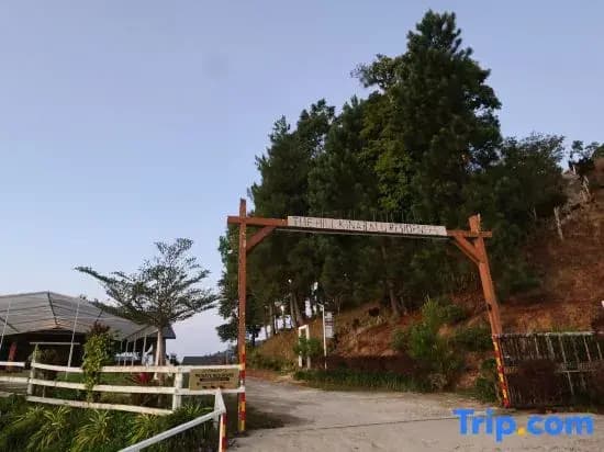 The Hill Kinabalu, Kundasang, Ranau - photo 5