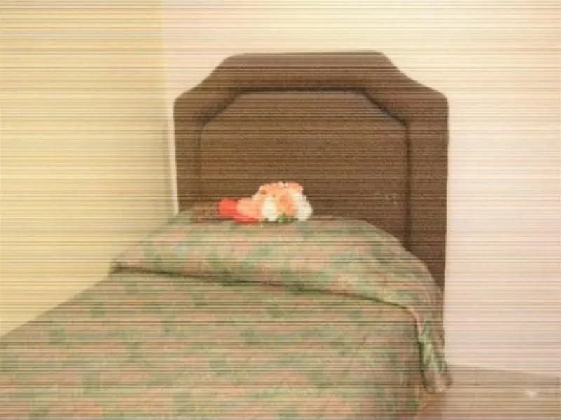 Hotel Sahara Batu Caves - photo 6