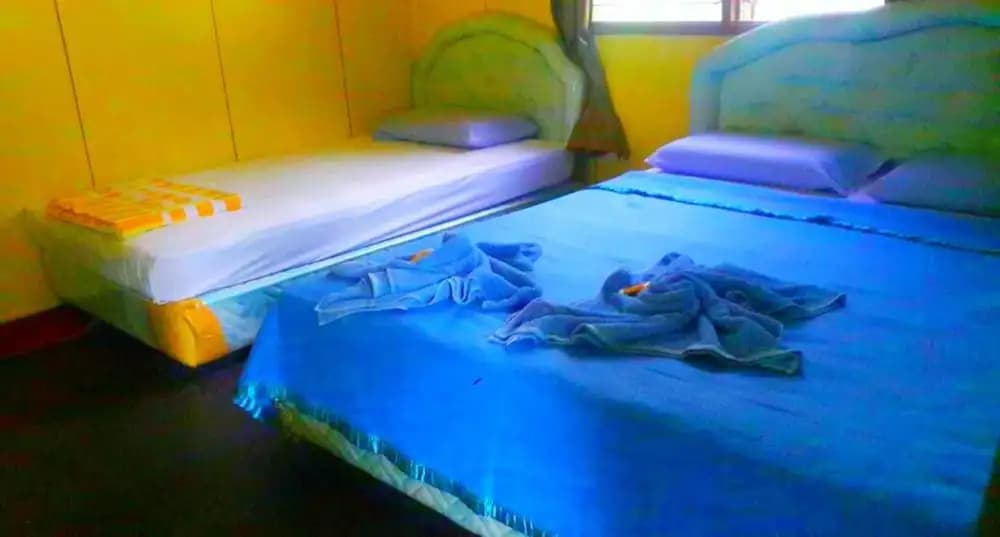 Sukau Backpackers B&B - photo 4