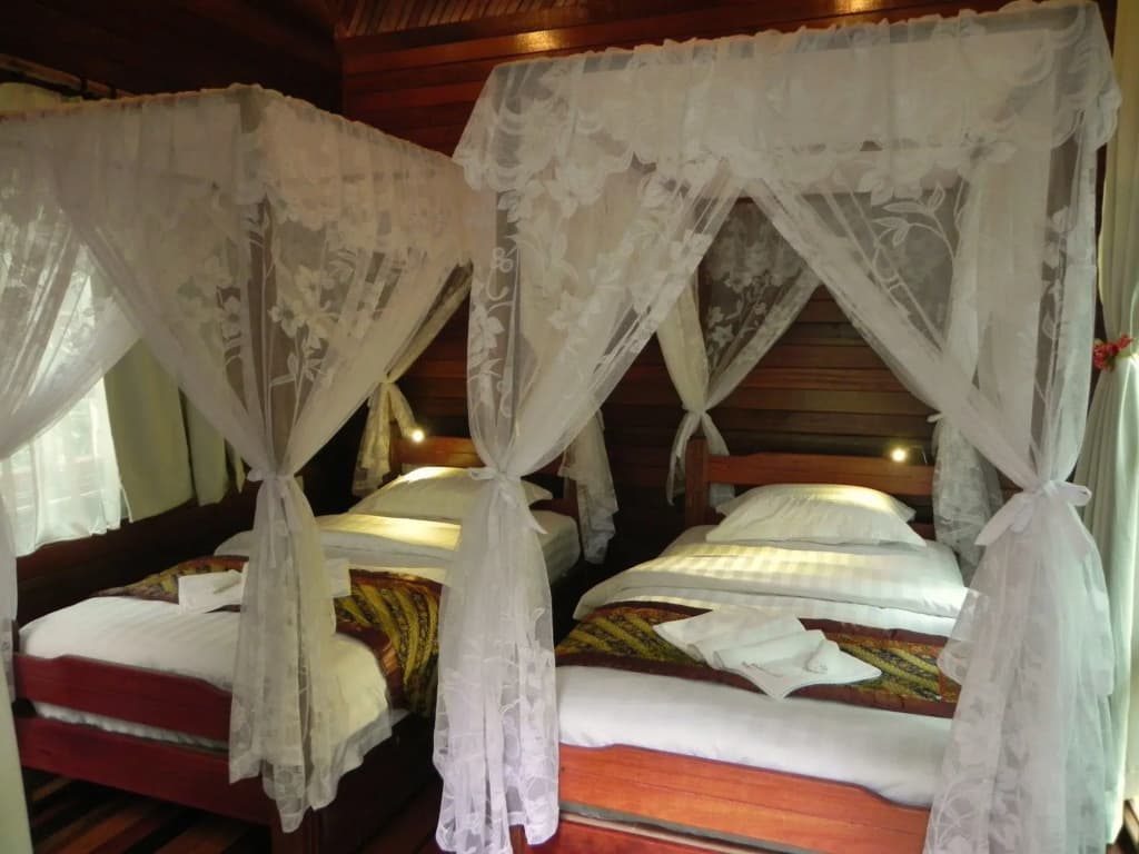 Borneo Natural Sukau Bilit Resort - photo 1
