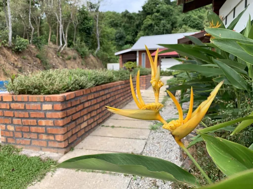 Hujung Kampung - photo 9