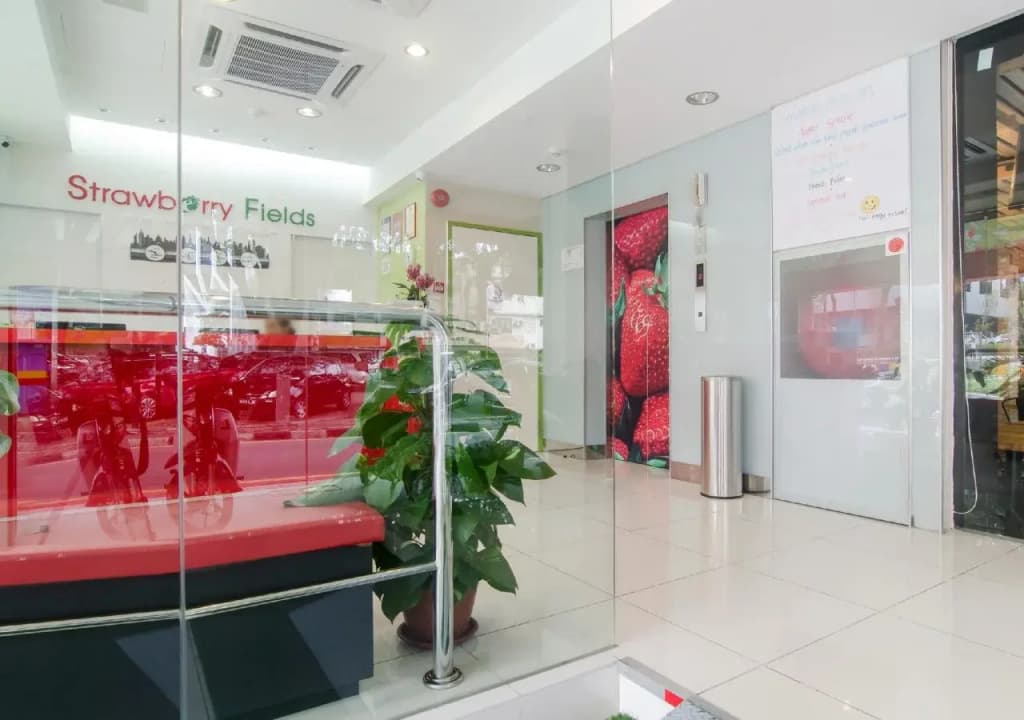 Hotel Strawberry Fields - photo 23