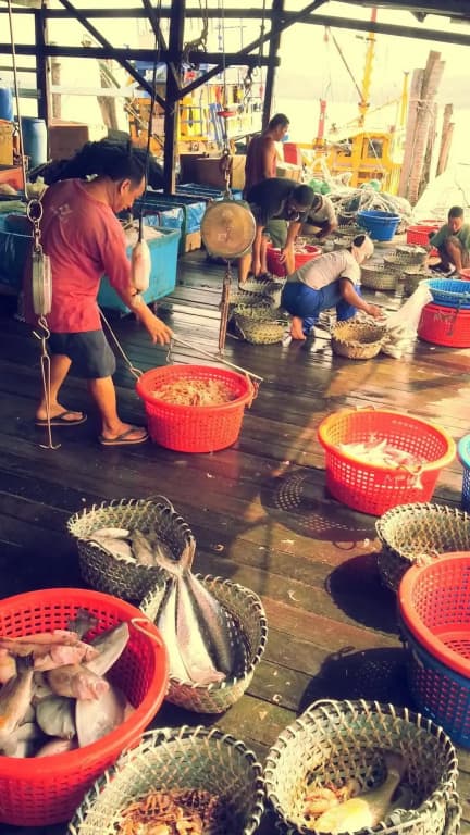 Pangkor Fish House - photo 23