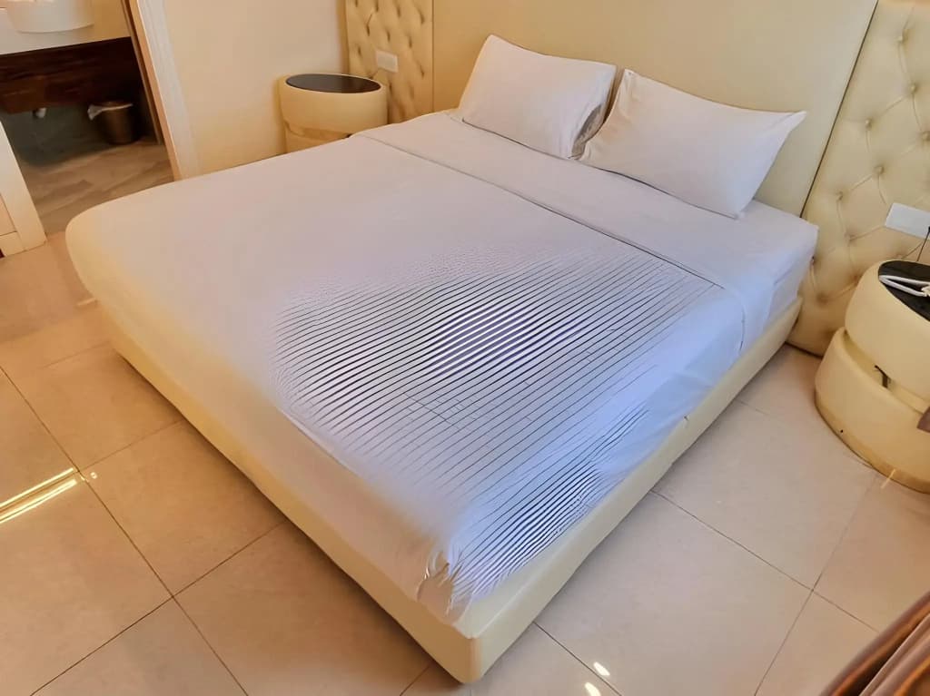 Ritzton Hotel - photo 6