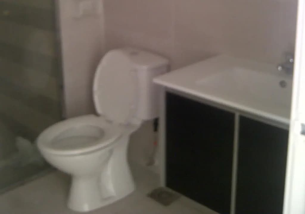 Sheila Ramlee Residence - photo 4