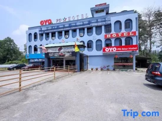 Star Hotel - photo 5