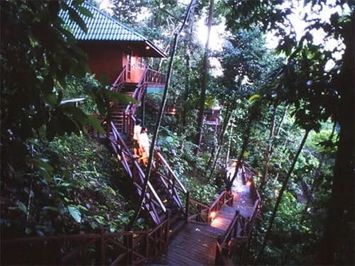 Tabin Wildlife Resort - photo 8