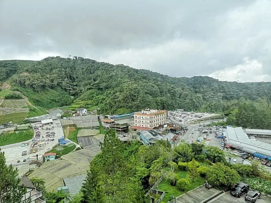 Luxury 3 bedroom Homestay at Kea Farm - photo 5