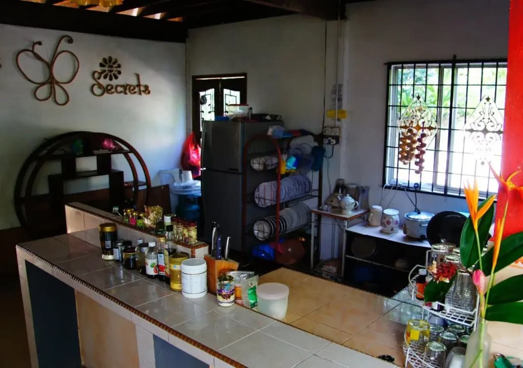 Butterfly Guest House - photo 10