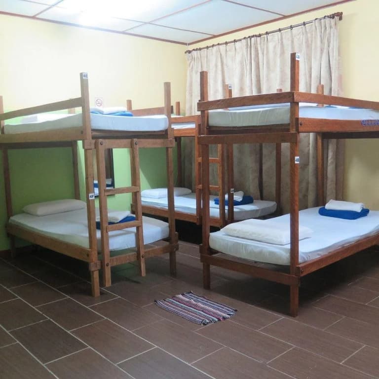 Postar's Backpacker - Hostel - photo 1