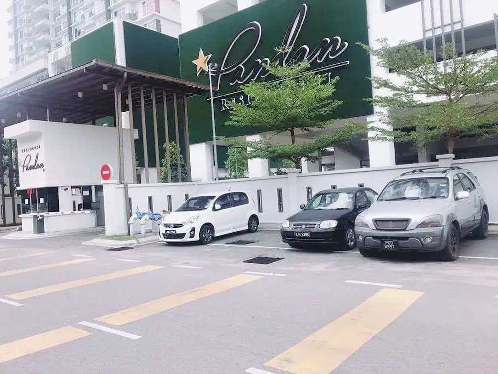 D'ING Pandan - photo 1