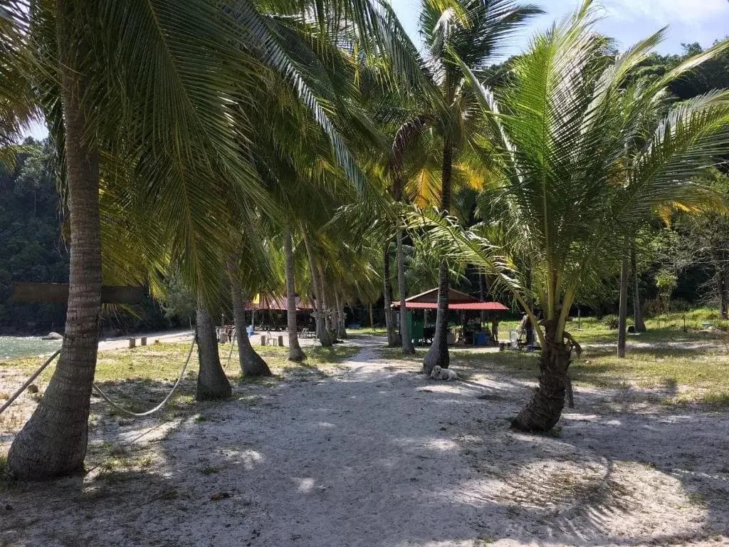 Wild Pasir Panjang Villas - photo 11