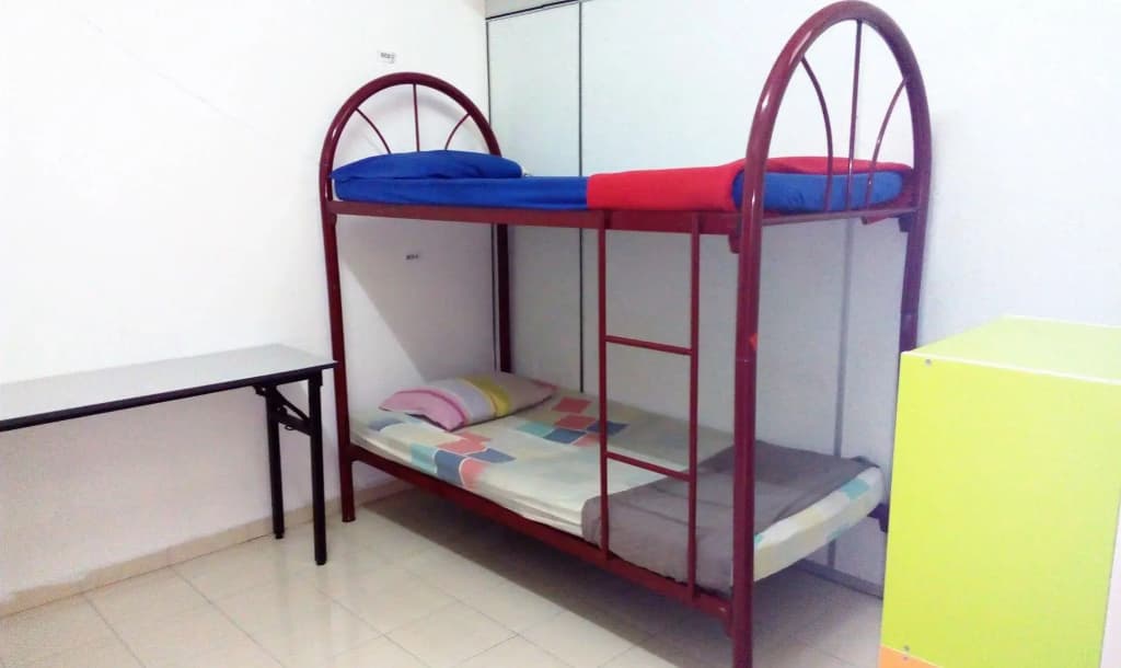 Backpacker's Freak Hostel - photo 3