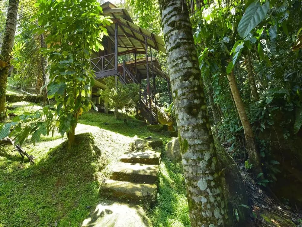 Oyo 90630 Mat Leon Village - photo 15