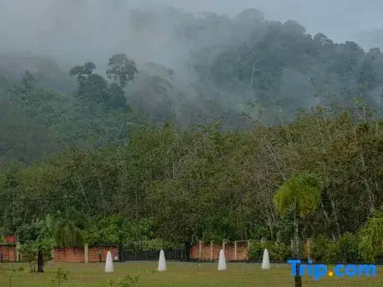 Sembilan Langkawi - photo 37