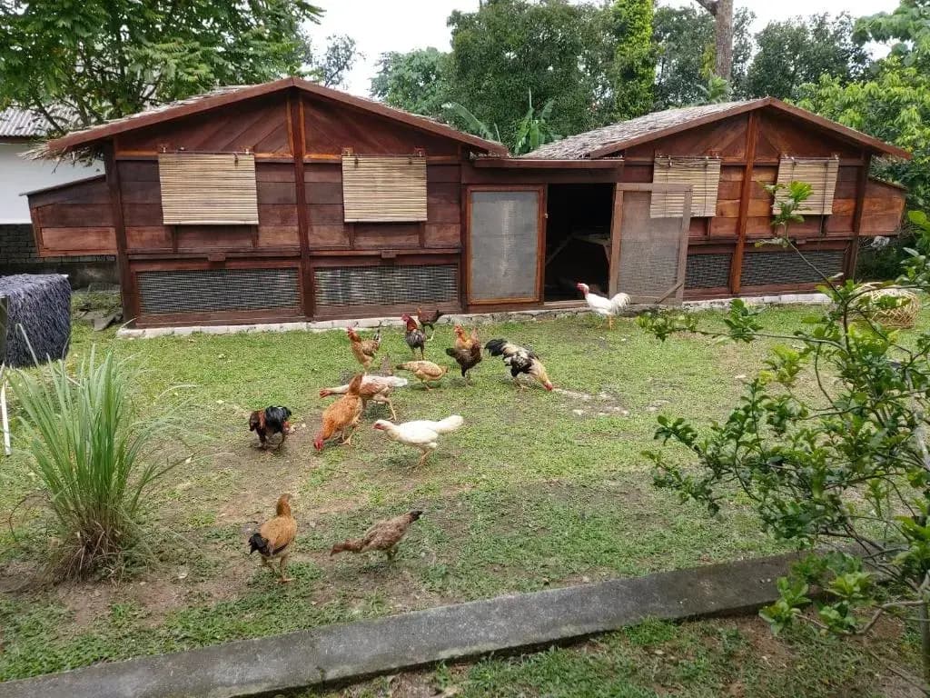 Homestay Villa Solihin Sungai Buloh - photo 23