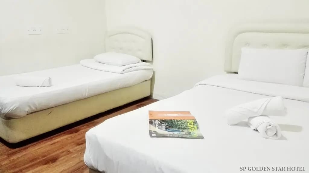Sp Golden Star Hotel - photo 4
