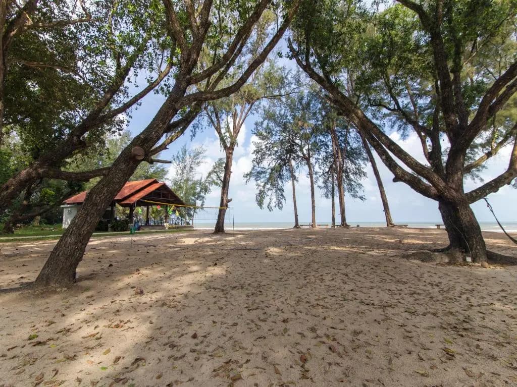Adena Beach Resort - photo 12