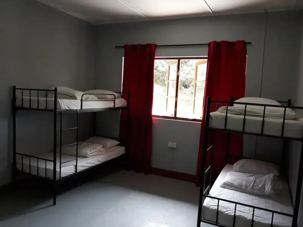 Farm Guest House - Hostel - photo 3