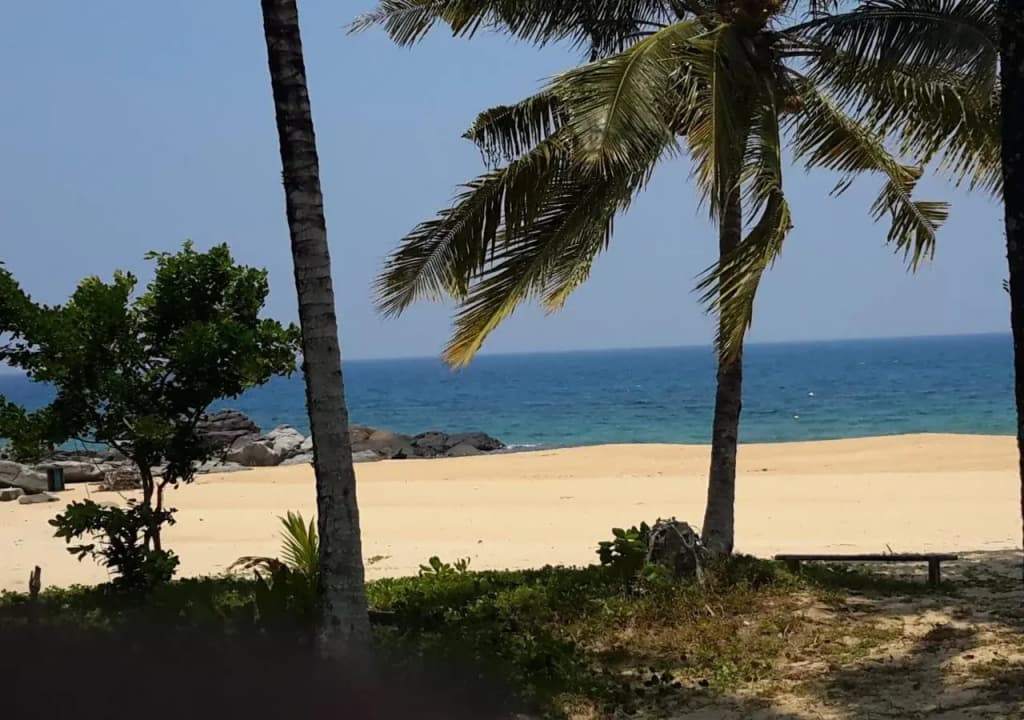 Tamara Resort - photo 7