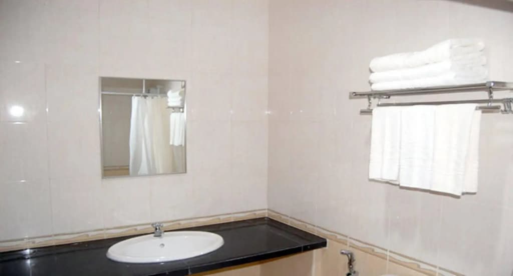 Hotel Palm Inn Butterworth - photo 8