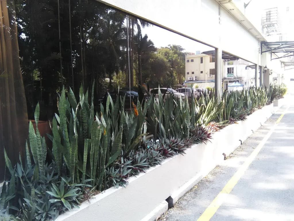 Telang Usan Hotel - photo 16