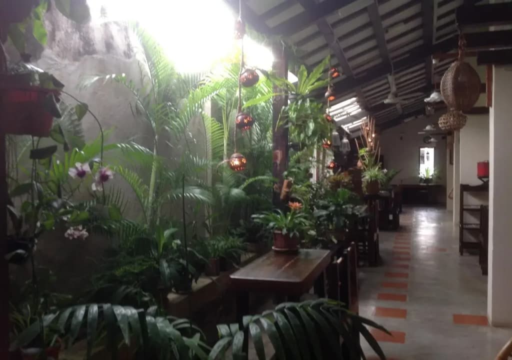 Palm Mansion Boutique Suites - photo 24