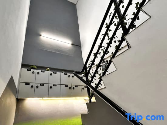 MetroCity Backpackers - photo 2