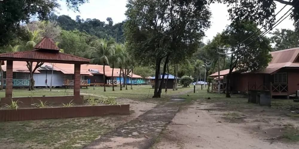 The Garden Tioman Resort - photo 8