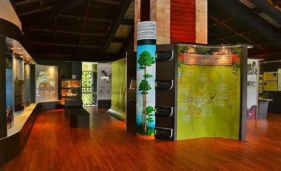 Puncak Inn Fraser's Hill - photo 8