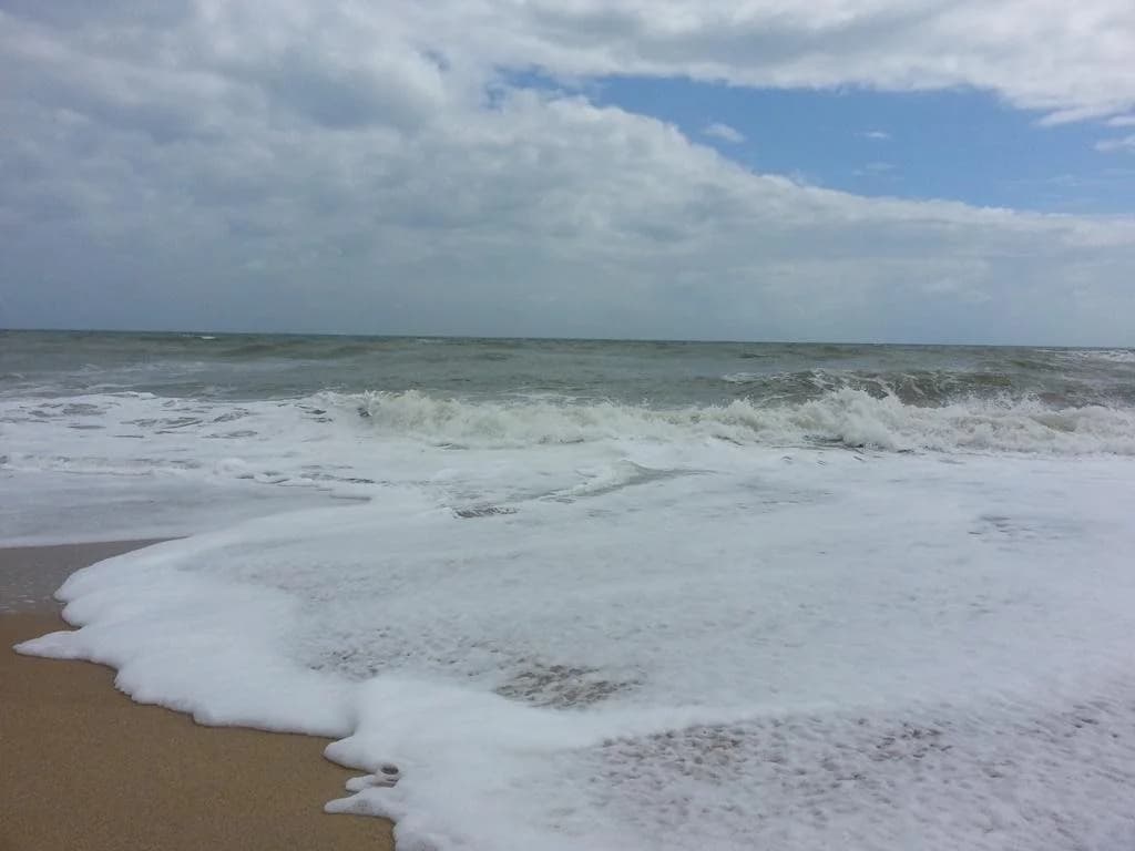 Gem Beach Resort - photo 16