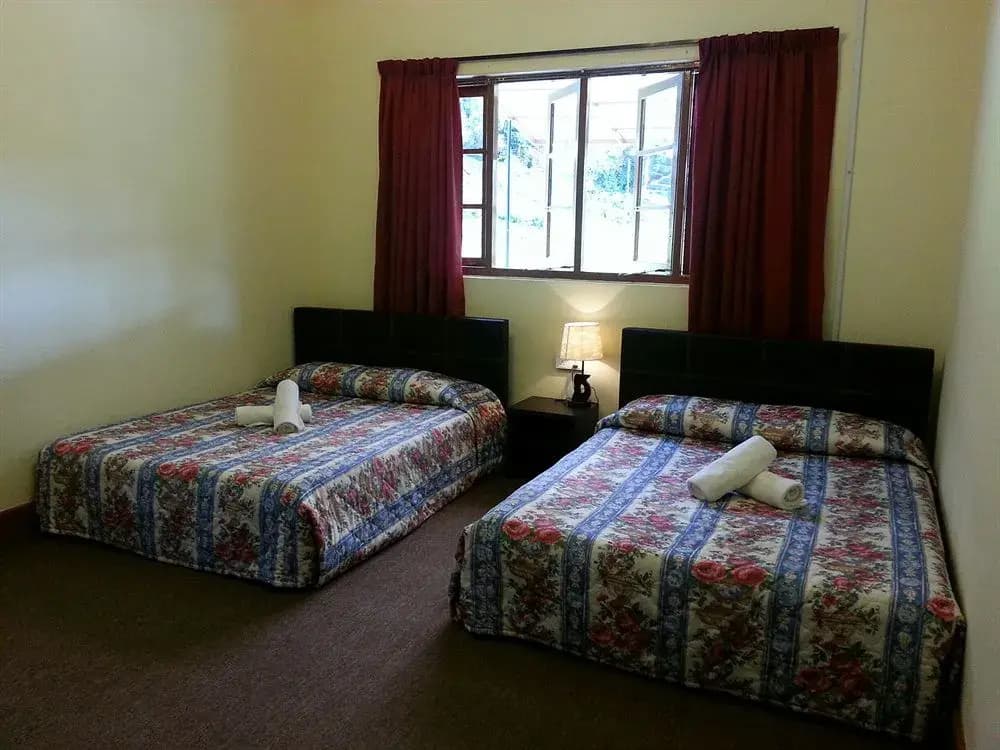 Dew Drop Inn - photo 3