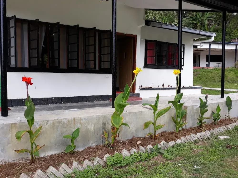 Farm Guest House - Hostel - photo 13
