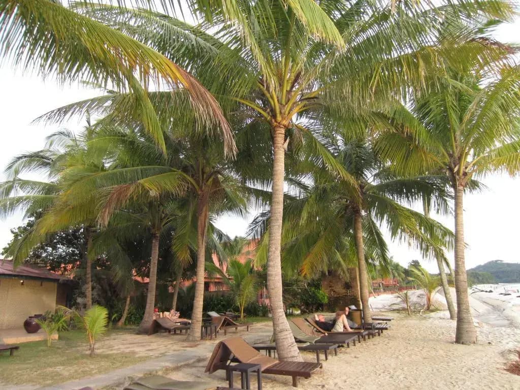 Sunset Beach Resort - photo 22