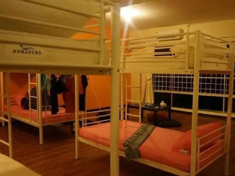 Best Bunk Beds Lodge - photo 14